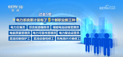 聚焦绿色和数字范畴 新职业新工种勾勒电力财产
